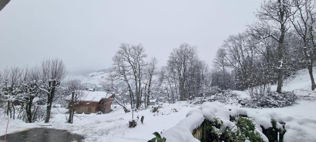 Logement A Megeve Avec Jardin Eksteriør billede