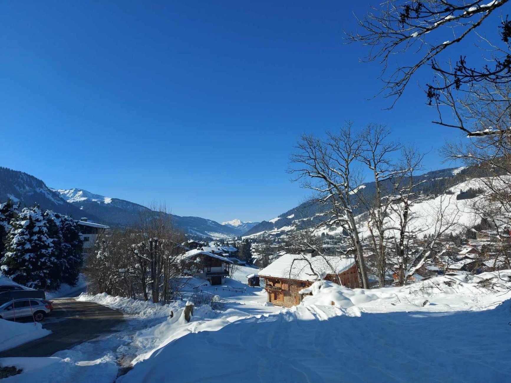 Logement A Megeve Avec Jardin Eksteriør billede